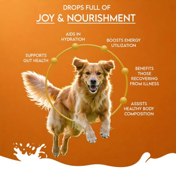 Pawfect Nature's Sip Goat Milk Powder with Pumpkin, Apple, Cinnamon & Pumpkin Seeds for Dogs