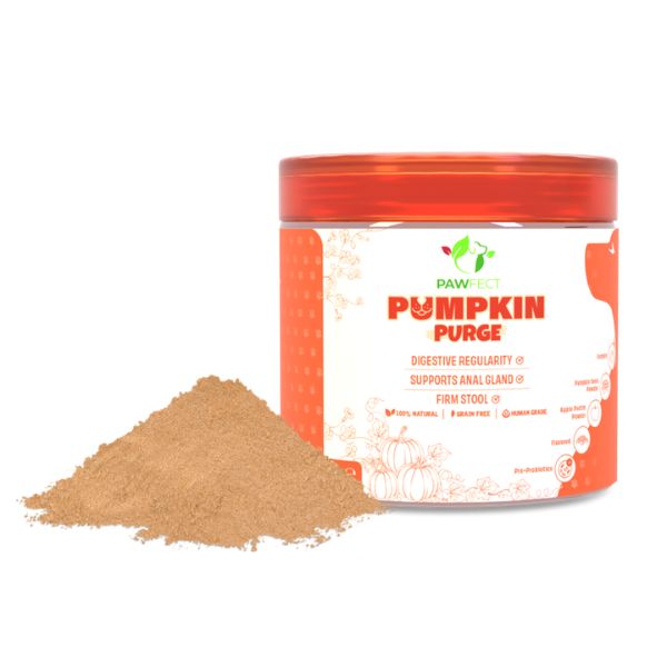 Pawfect Pumpkin Purge Daily Topper for Dogs
