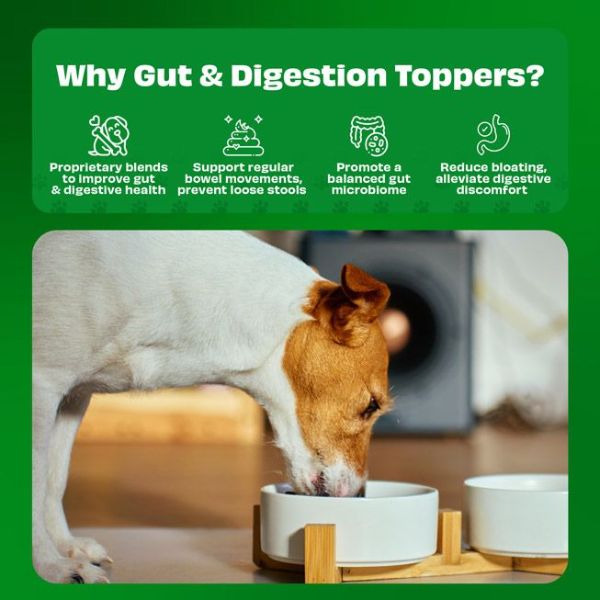 Pawfect Pumpkin Purge Daily Topper for Dogs