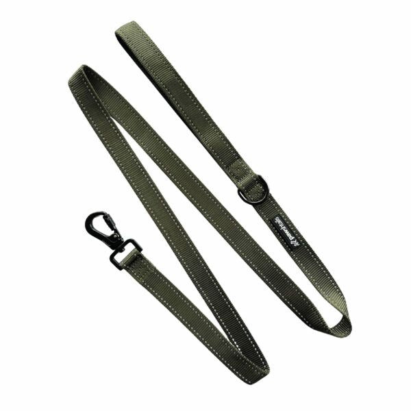 Pawshtails Functional Dog Lead (5ft)