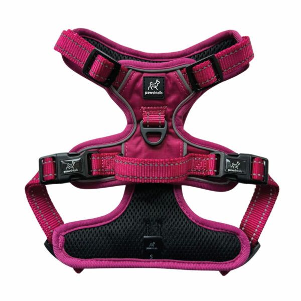 Pawshtails Adjustable Anti-Pull Dog Harness