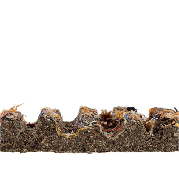 ProRep Tortoise Flower Foraging Bar (45g)