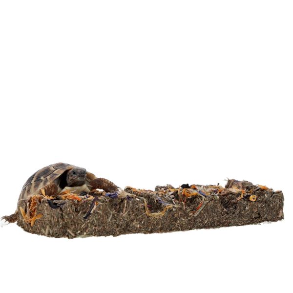 ProRep Tortoise Flower Foraging Bar (45g)