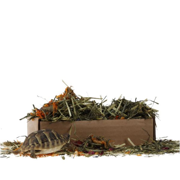 ProRep Tortoise Flower Foraging Tray (70g)