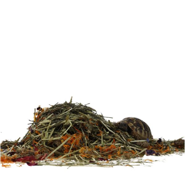 ProRep Tortoise Flower Foraging Tray (70g)