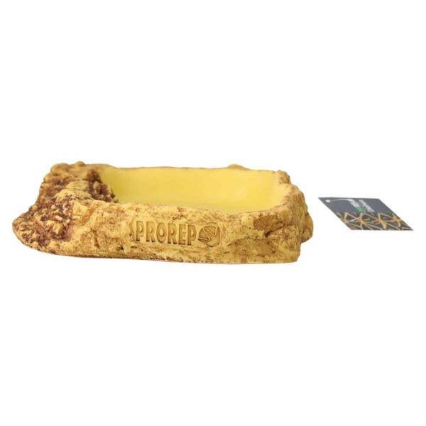 ProRep Tortoise Pool (Medium)