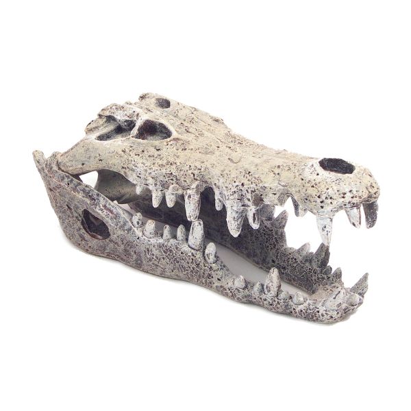 Rosewood Nile Crocodile - Small