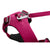 Ruffwear Front Range Dog Harness - Hibiscus Pink