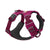 Ruffwear Front Range Dog Harness - Hibiscus Pink