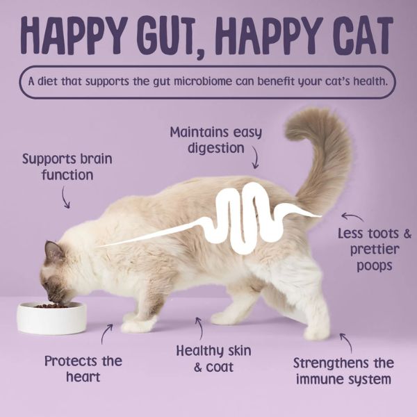 Scrumbles Krunchies Calming Cat Treats
