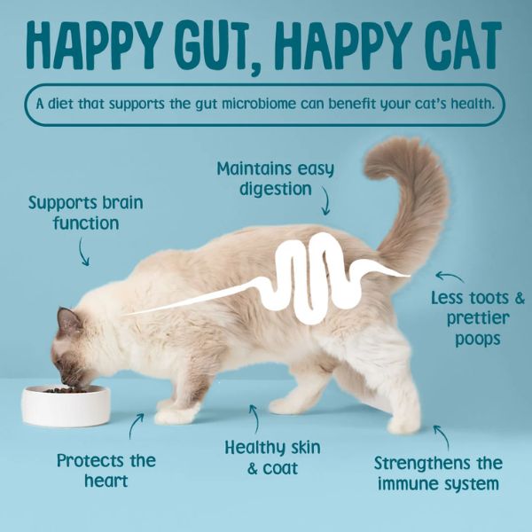 Scrumbles Krunchies Dental Cat Treats