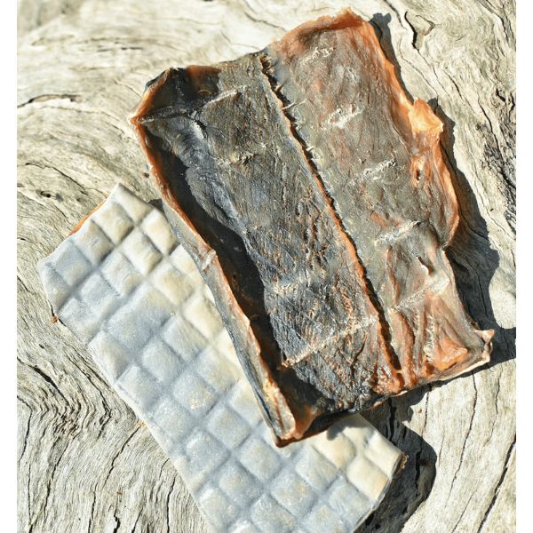 Shark Skin