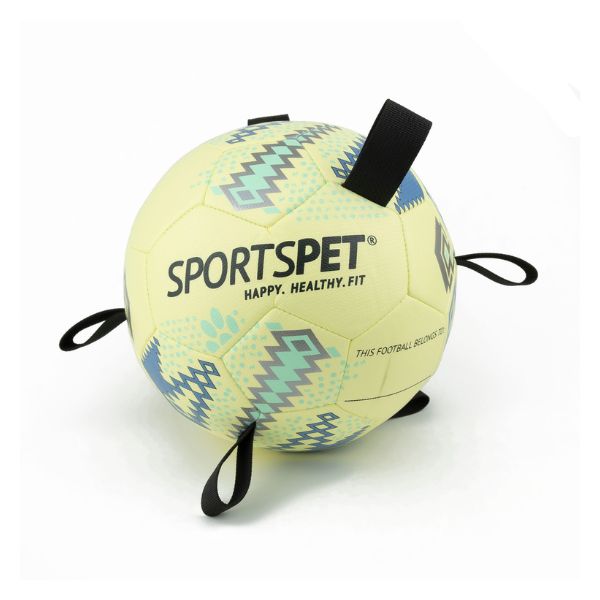 SportsPet Tab Football (Size 2)