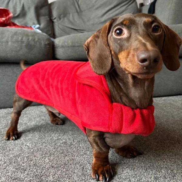 Stellar Luxury Drying Robes for Dogs (Chilli Red)