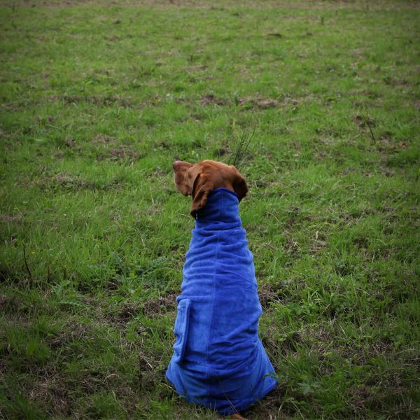 Stellar Luxury Drying Robes for Dogs (Cobalt Blue)