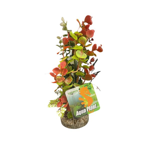 Sydeco Coloured Aqua Plant - 22CM