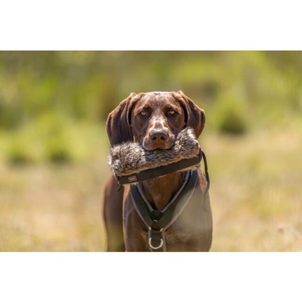Trixie Feed Dummy – Fur Retrieval Training Toy