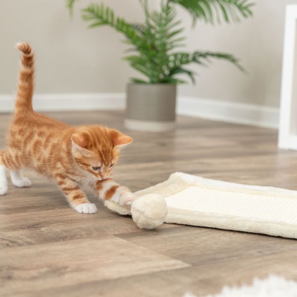 Trixie Scratching Mat