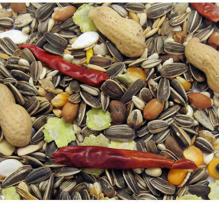 Tropical Parrot Food (500g)