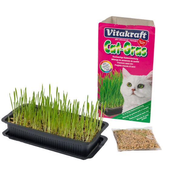 Vitakraft Cat Grass (120g)