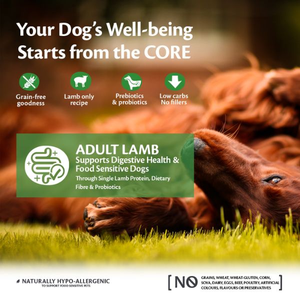Wellness CORE Adult Dog Food (Lamb)