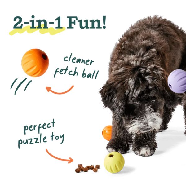 Woof Flyball 2-in-1 Dog Ball & Puzzle Toy