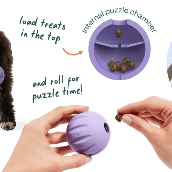 Woof Flyball 2-in-1 Dog Ball & Puzzle Toy