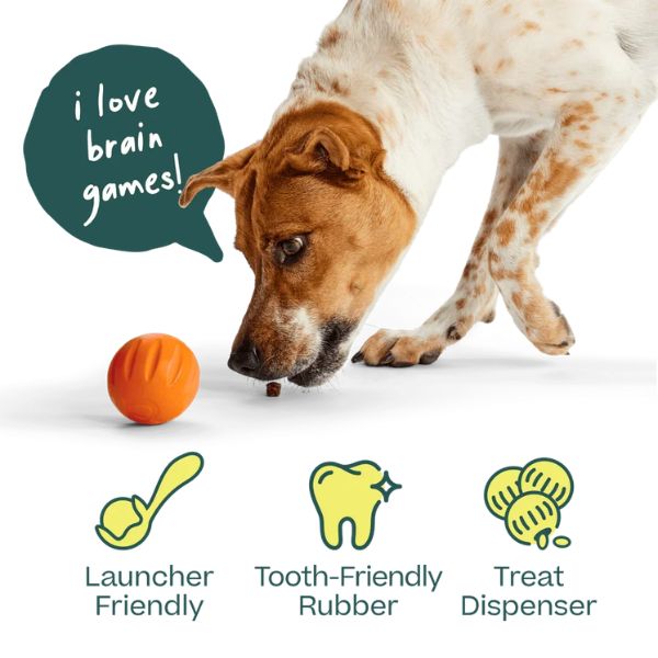 Woof Flyball 2-in-1 Dog Ball & Puzzle Toy