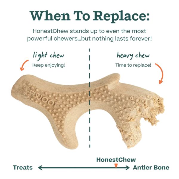 Woof HonestChew Ultra-Durable Antler Dog Chew Toy