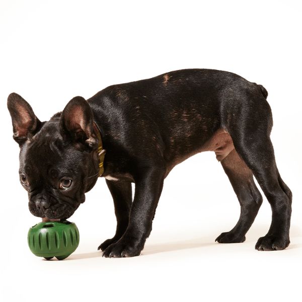 Woof Pupsicle Toy Refill Pops