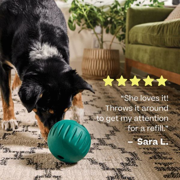Woof Walkabout Slow Feeder Ball &amp; Treat Puzzle Dog Toy