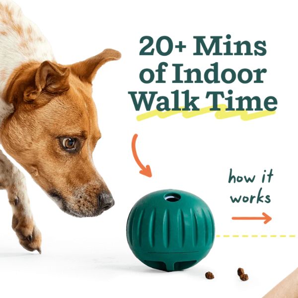 Woof Walkabout Slow Feeder Ball & Treat Puzzle Dog Toy