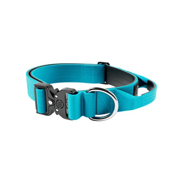 Bully Billows 2.5cm Combat Collar with Handle and Rated Clip Light Blue (XS - M)