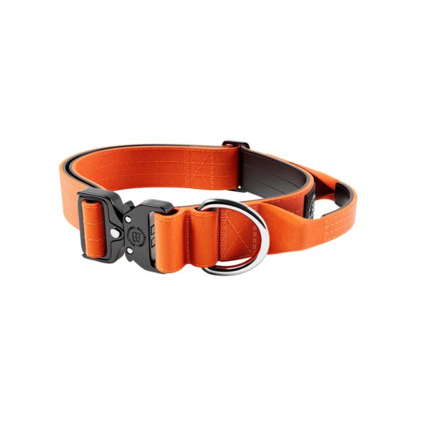 Bully Billows 2.5cm Combat Collar with Handle and Rated Clip - Orange (XS - M)