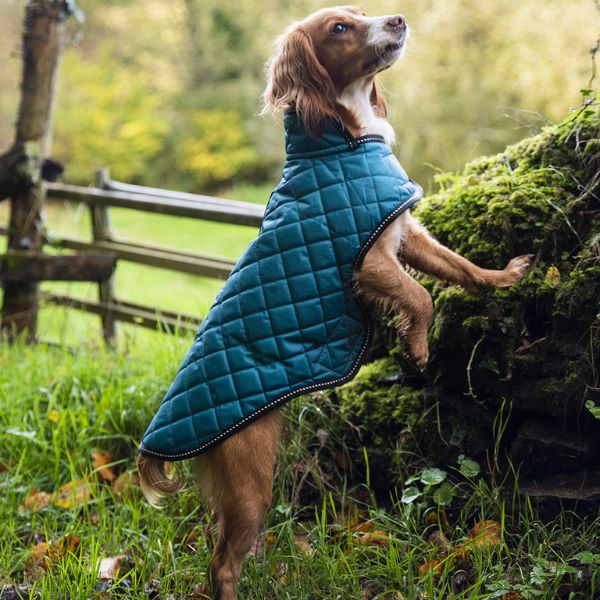 Henry Wag Teal Quilted Jacket - Large