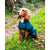 Henry Wag Teal Quilted Jacket - Large