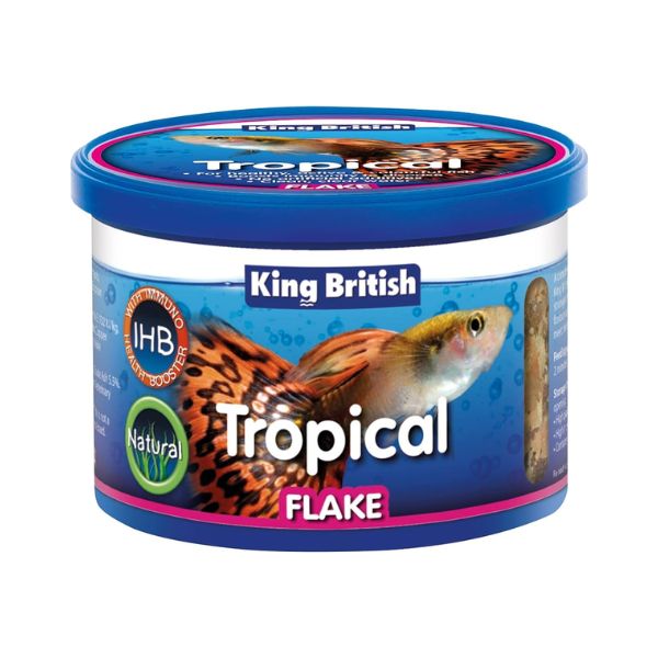 King British Tropical Fish Flake Food 55g