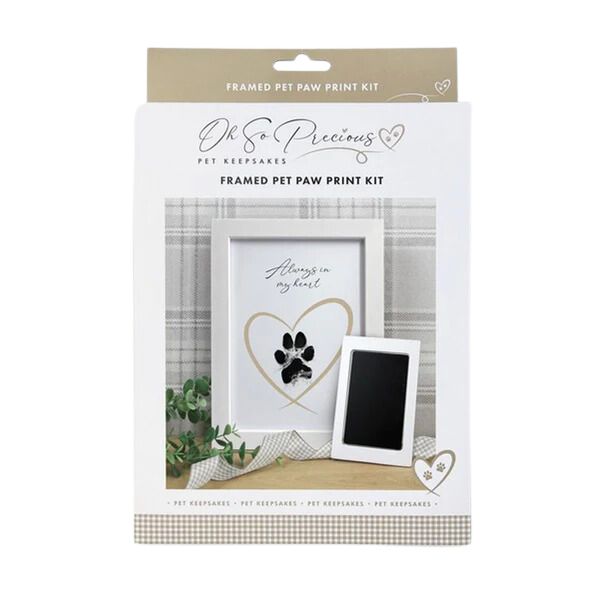 Oh So Precious Paw Print Ink Picture with Frame