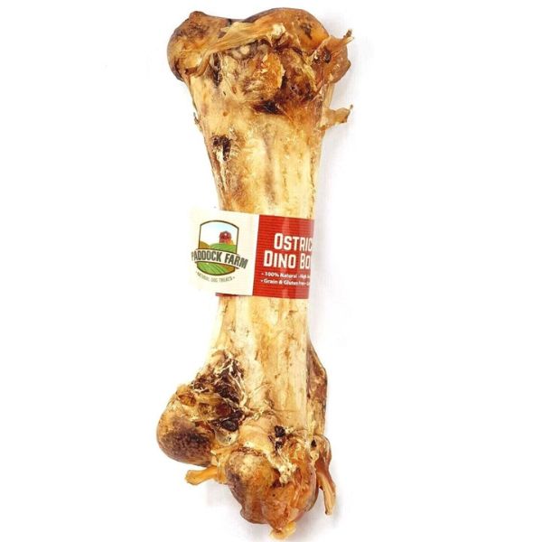 Ostrich Dino Bone