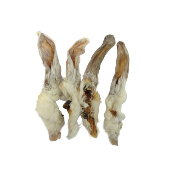 Rabbit Ears