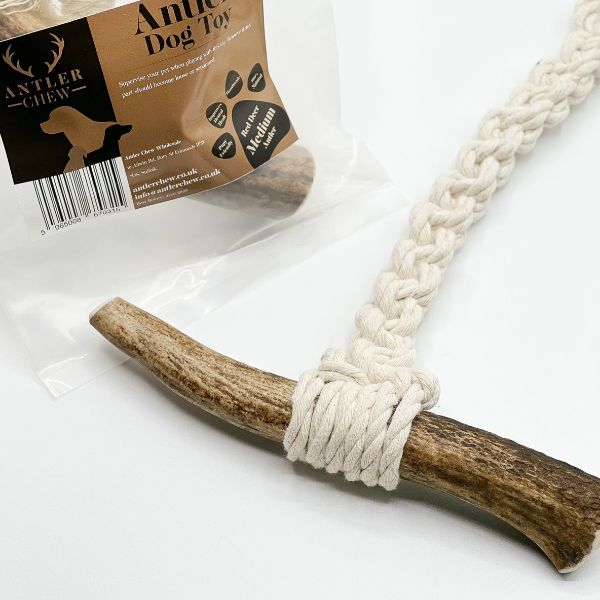 Red Deer Antler Dog Toy (Medium)