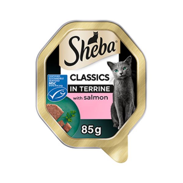 Sheba Classics In Terrine With Salmon - 11 x 85G Trays